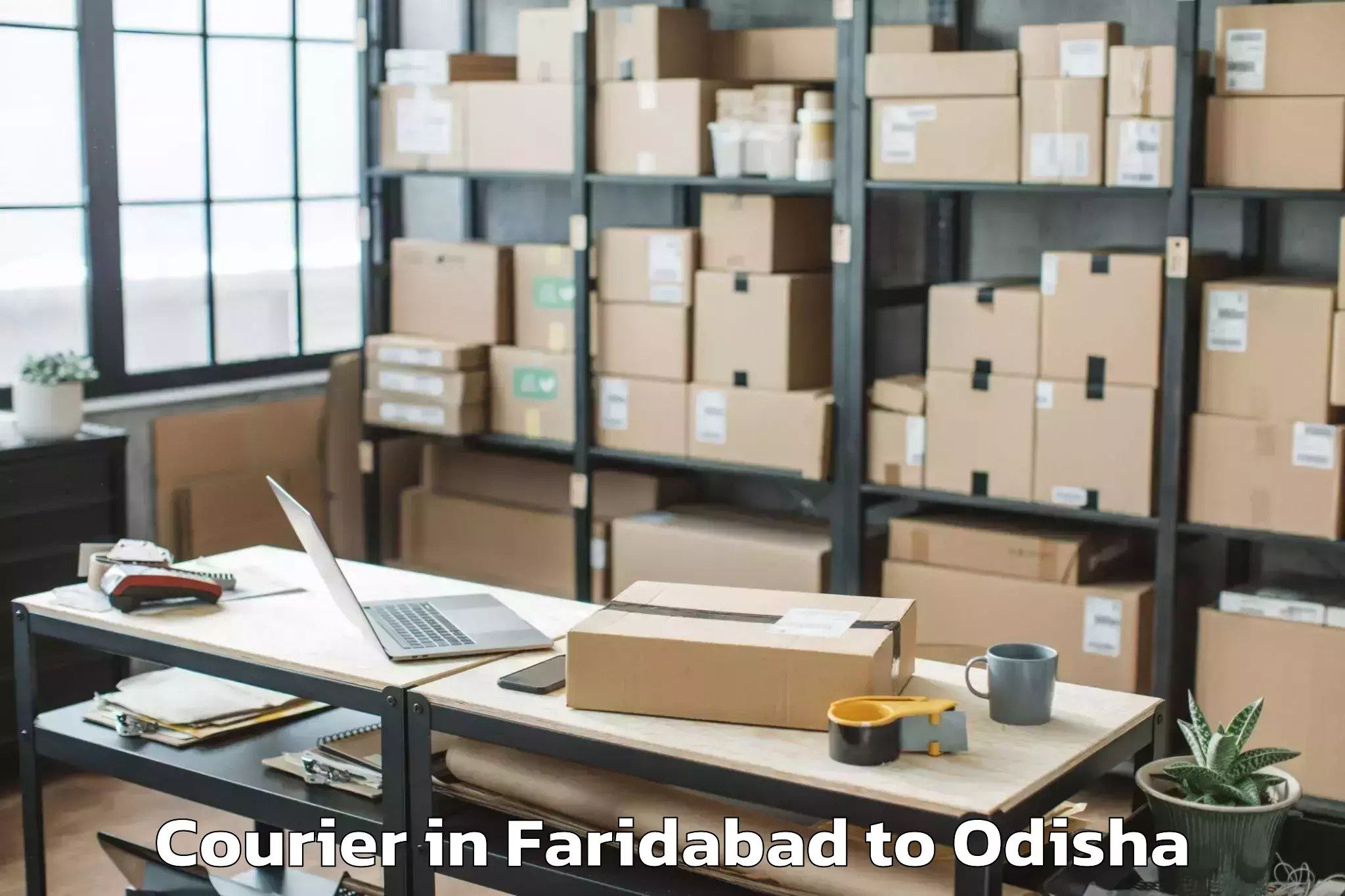 Get Faridabad to Nayagarh Courier